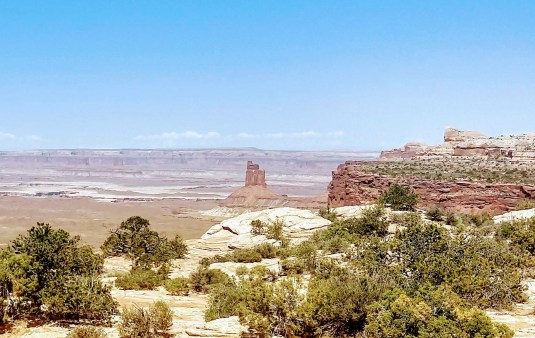 IMG_20190605_104843516_HDR-1